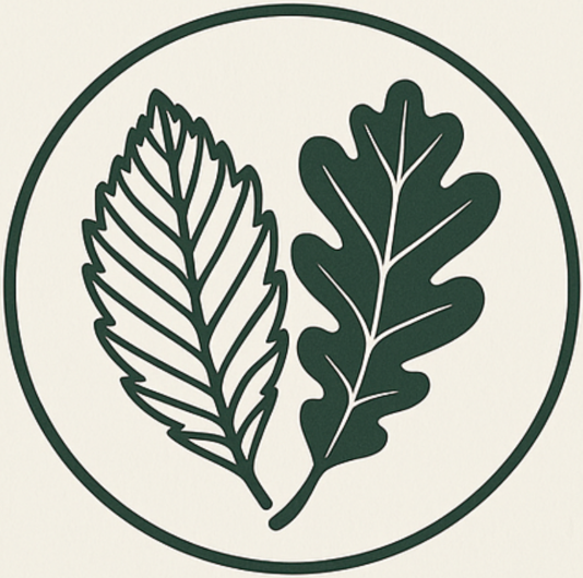 Chestnut & Oak Capital Management Logo